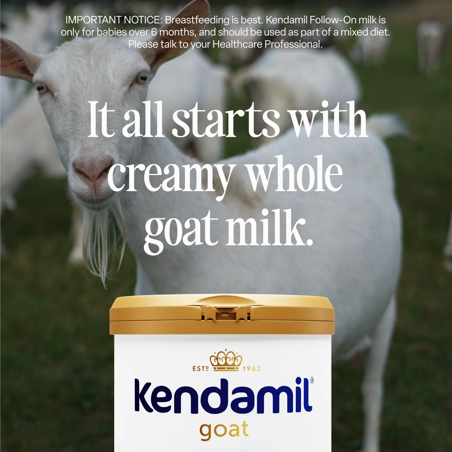 Goat Follow-On Milk - Image 2